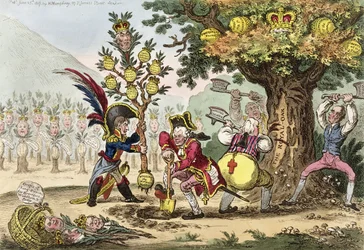 Die neue Dynastie oder der kleine korsische Gärtner pflanzt einen königlichen Pippin-Baum, veröffentlicht von Hannah Humphrey im Jahr 1807